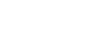 logo spb